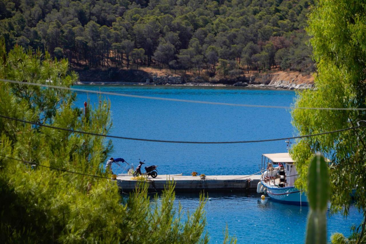 Casa Olive Βίλα Τολό Εξωτερικό φωτογραφία